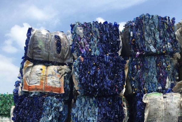 ETH Global Recycling Survey 2020