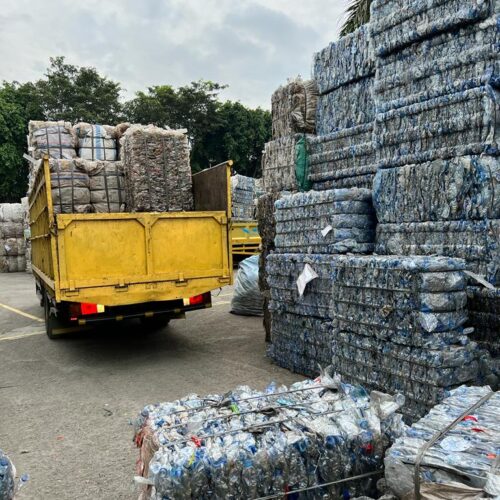 pop-thai-2022-05 0002